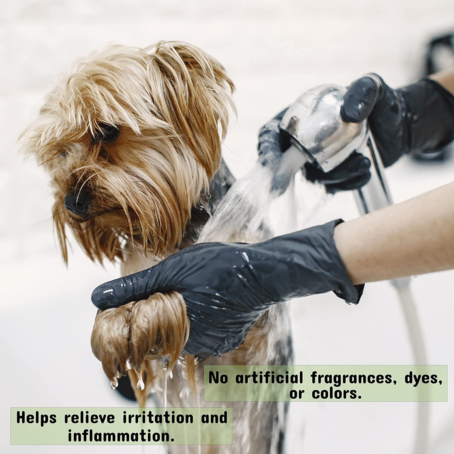 Pet Silk Conditioner for Pets, Leave in, Perfect for dry skin, Rainforest Scent, 11.6 Ounces