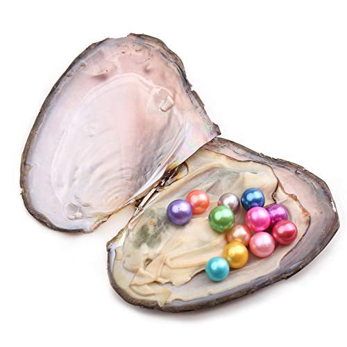 50 pcs Twins Pearl 6-8mm AAAA round Freshwater oysters with pearls,oyster twins pearl round pearl beads MX001