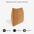 thumbnail image 2 of A1HC Hypoallergenic Down Alternative Decorative Throw Pillow, 24x24 in, Square, Pack of 1, Brown Derby, 2 of 7