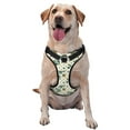 thumbnail image 1 of XMXY No Pull Dog Harness, Background Graphic Adjustable Reflective Pet Harness with Oxford Vest, Large Size, 1 of 9