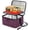 Dark Purple, variant on Heated Lunch Box Warmer: 12V/24V Warmer for Truckers & Delivery Drivers, Portable Electric Lunch Box Heater to Reheat & Keep Meals Warm the Go ( Plug Only) - Black