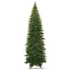 Holiday Time 15' Deodar Spruce Tree With 2200 Clear L