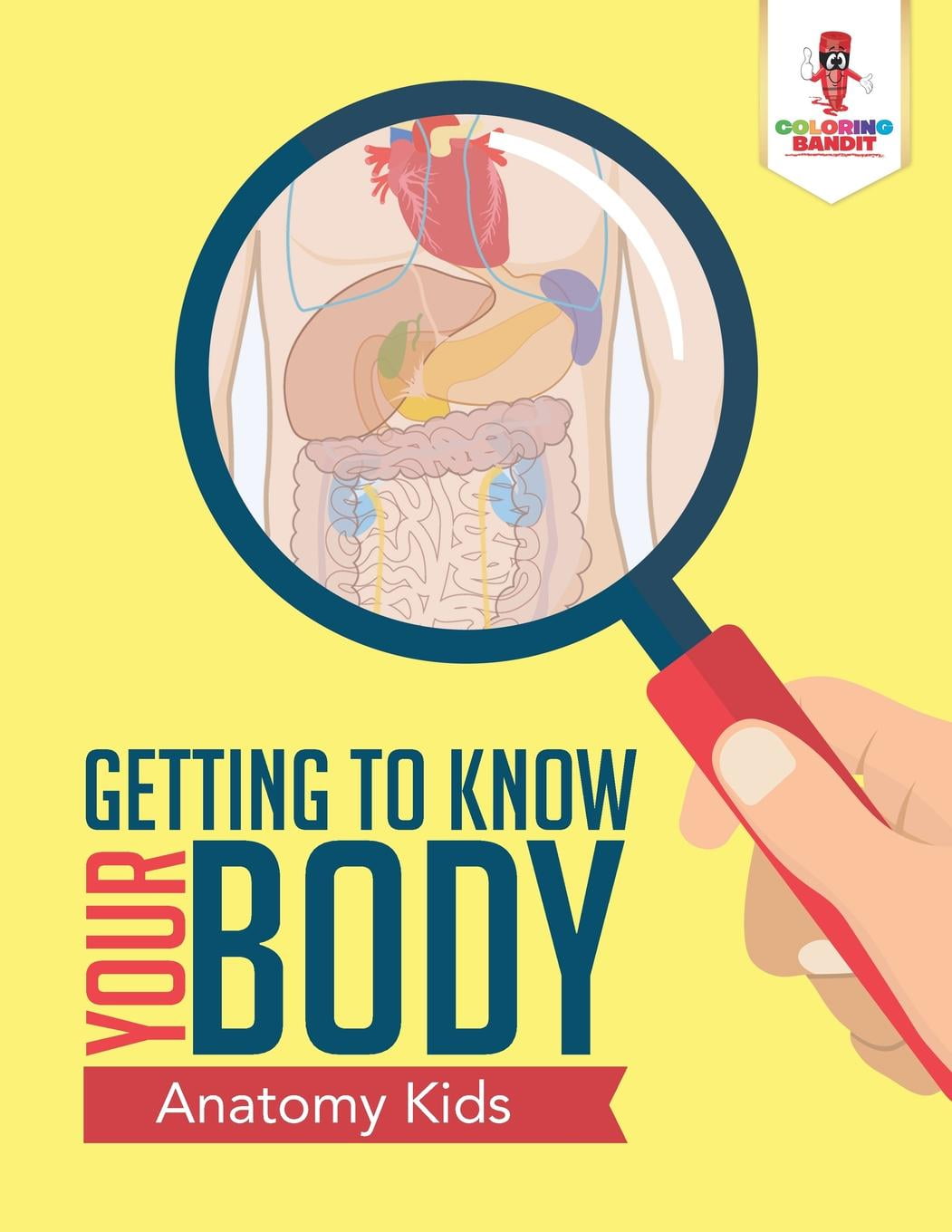 Download Human Anatomy 101: Adult Coloring Book Anatomy Edition (Paperback) - Walmart.com - Walmart.com