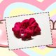 thumbnail image 4 of Anillo para el cabello con forma de intestino grueso y oso rojo rosa, cuerda para el cabello, cuerda para la cabeza de niña dulce, horquilla de verano, accesorios para el cabello, 4 of 6