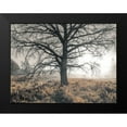 thumbnail image 2 of Frank, Assaf 18x15 Black Modern Framed Museum Art Print Titled - Misty forest, 2 of 5