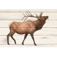 thumbnail image 2 of Wiens, James 32x23 Gold Ornate Wood Framed with Double Matting Museum Art Print Titled - Northern Wild III on Wood, 2 of 4