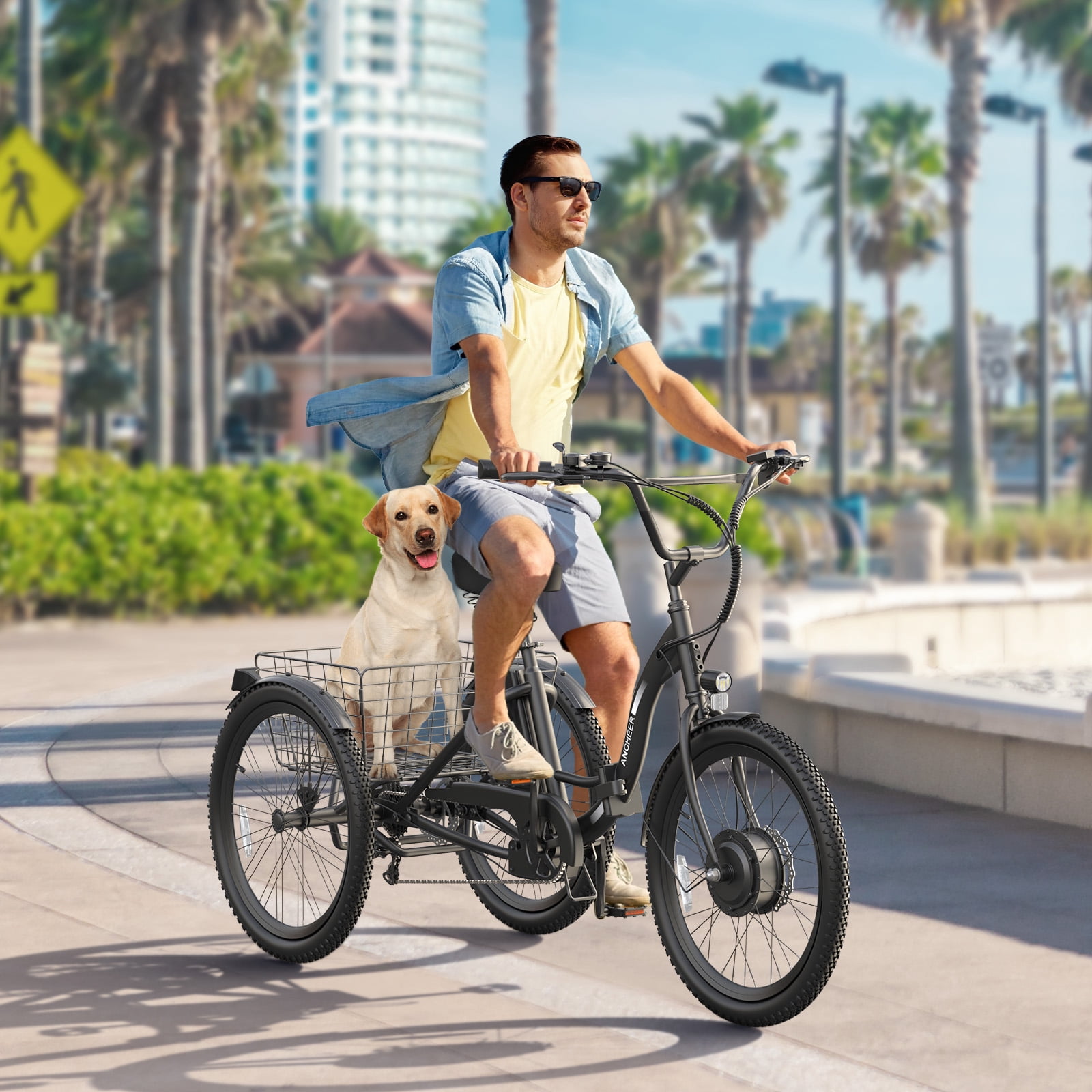 ANCHEER Electric Tricycle for Adults,24" Folding Electric Trike,3 Wheels Electric Bicycle Bikes,350W Step-Thru Etrike with 48V/499Wh Removable Battery,15.5MPH & 55Miles Electric Bike UL2849