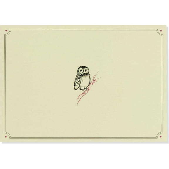 Note Card Owl Portrait (Other)
