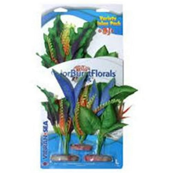 Blue Ribbon Pet Products CB-LVP7 Colorburst Florals Plant Variety Pack, Large