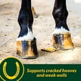 thumbnail image 3 of Farnam Companies Inc-Horseshoer S Secret 22 Livres, 3 of 5