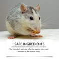 thumbnail image 4 of Effective Mint-Scented Mouse Repellent Spray for Outdoor Gardening - 150ml Natural Insect Spray for Rodent Control and Prevention, 4 of 6