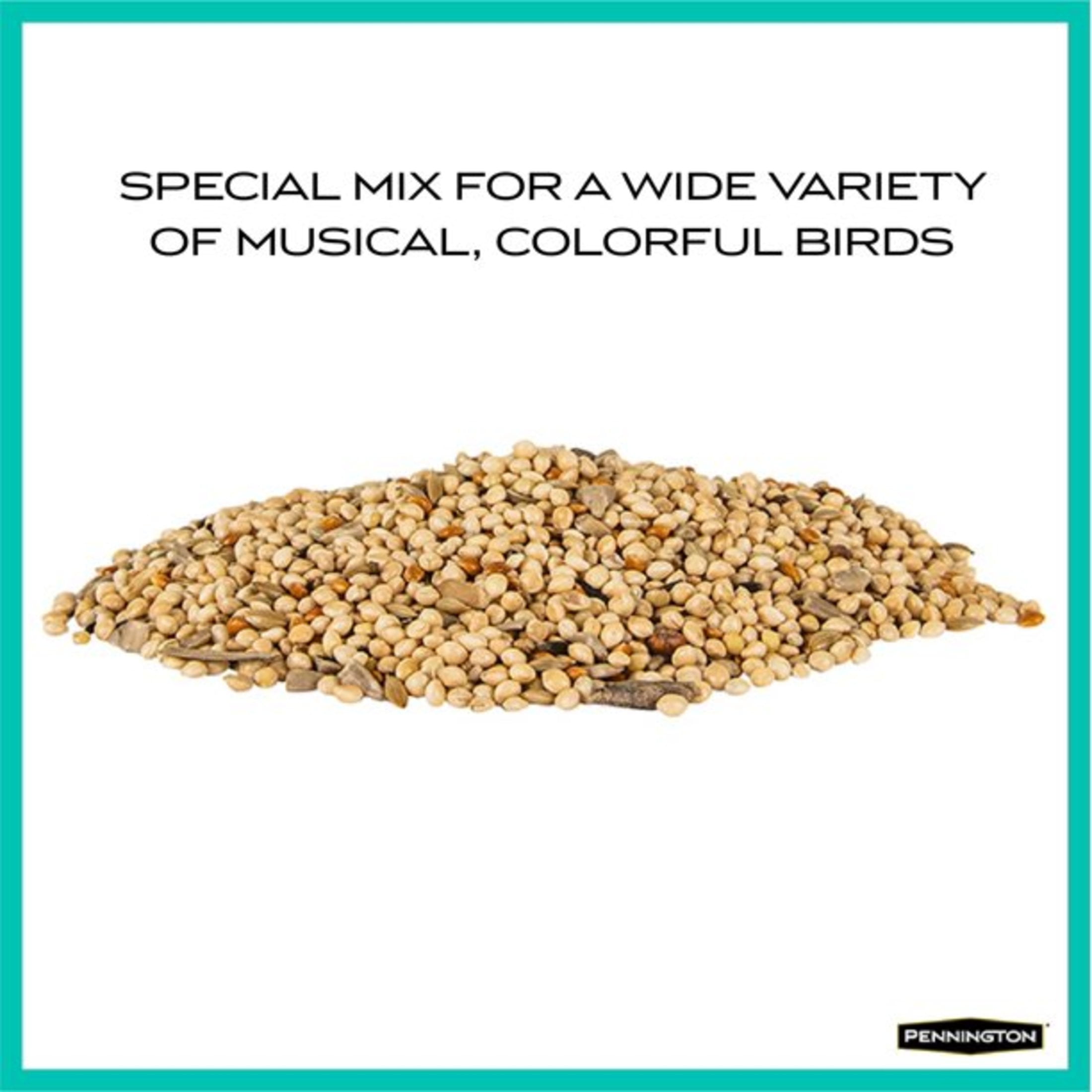 (5 pack) Pennington Recipe Selects Wild Finch Blend, Dry Wild Bird Seed and Feed, 10 lb., 1 Pack