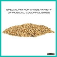 thumbnail image 6 of Pennington Recipe Selects Wild Finch Blend, Dry Wild Bird Seed and Feed, 10 lb., 1 Pack, 6 of 10