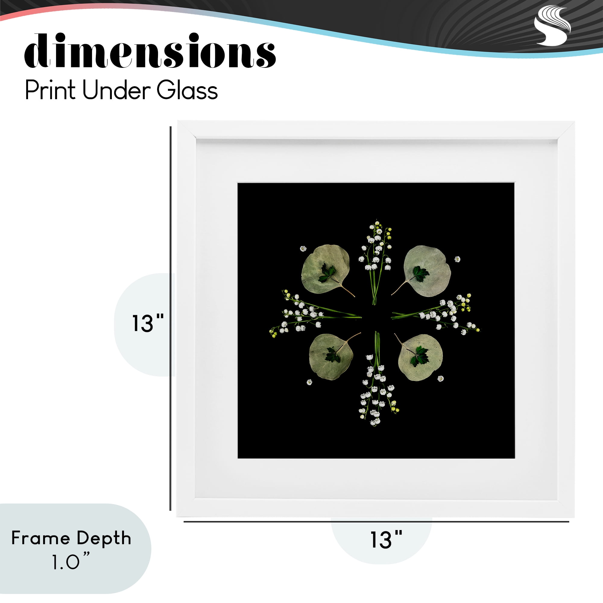 Stupell Industries Leaves & Wildflowers on Black White Framed Print Under Glass, design by Beth Adoette