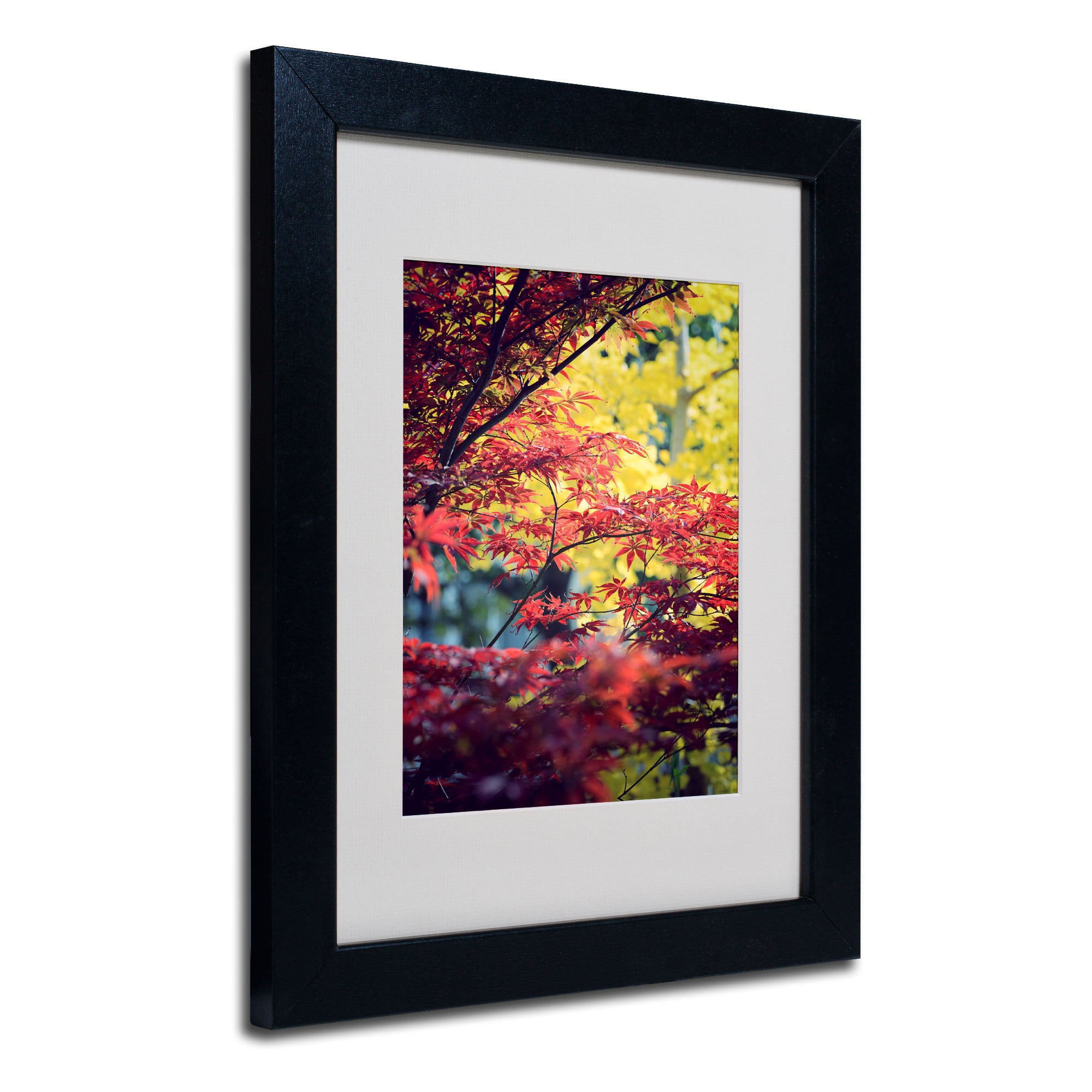 Trademark Fine Art "Red vs Yellow" Canvas Art by Philippe Sainte-Laudy, Black Frame