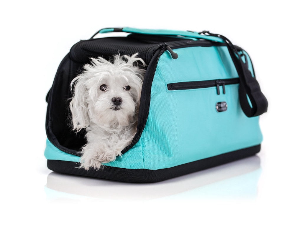 Sleepypod Air - Airline Approved Carrier and Crash-Tested Car Seat for Cats and Dogs up to 18 lbs. (Robin Egg Blue)