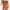 Orange, variant on RUTAYY Swimwear Women Halter Neck Hanging Monokinis Swimsuit With A Tight Fit And Body Open Back Swimsuit Summer Beachwear