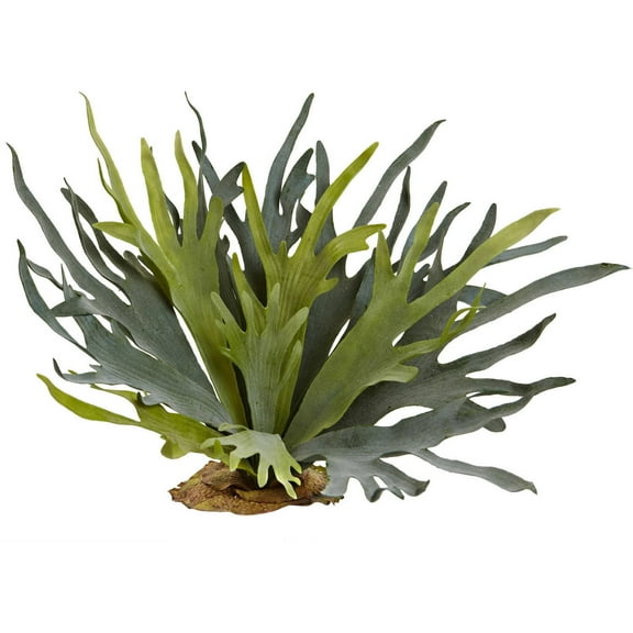 Nearly Natural 21" Staghorn Fern, Set of 2