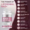 thumbnail image 5 of NAD+Resveratrol Suplementos NAD+Antienvejecimiento y regeneración celular natural Resistente a sobres y tapas solubles, 5 of 5