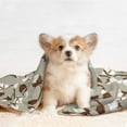 thumbnail image 4 of Disketp Cotton Tree Dog Blanket/Bed Cover for Dogs and Cats,Puppy Essentials-Medium, 4 of 8