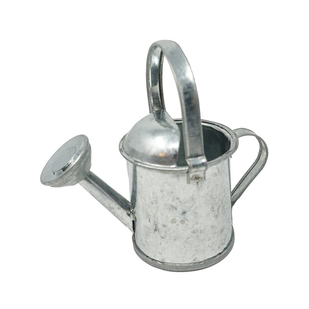 Mini Galvanized Metal Watering Can with Handle, 31/2Inch