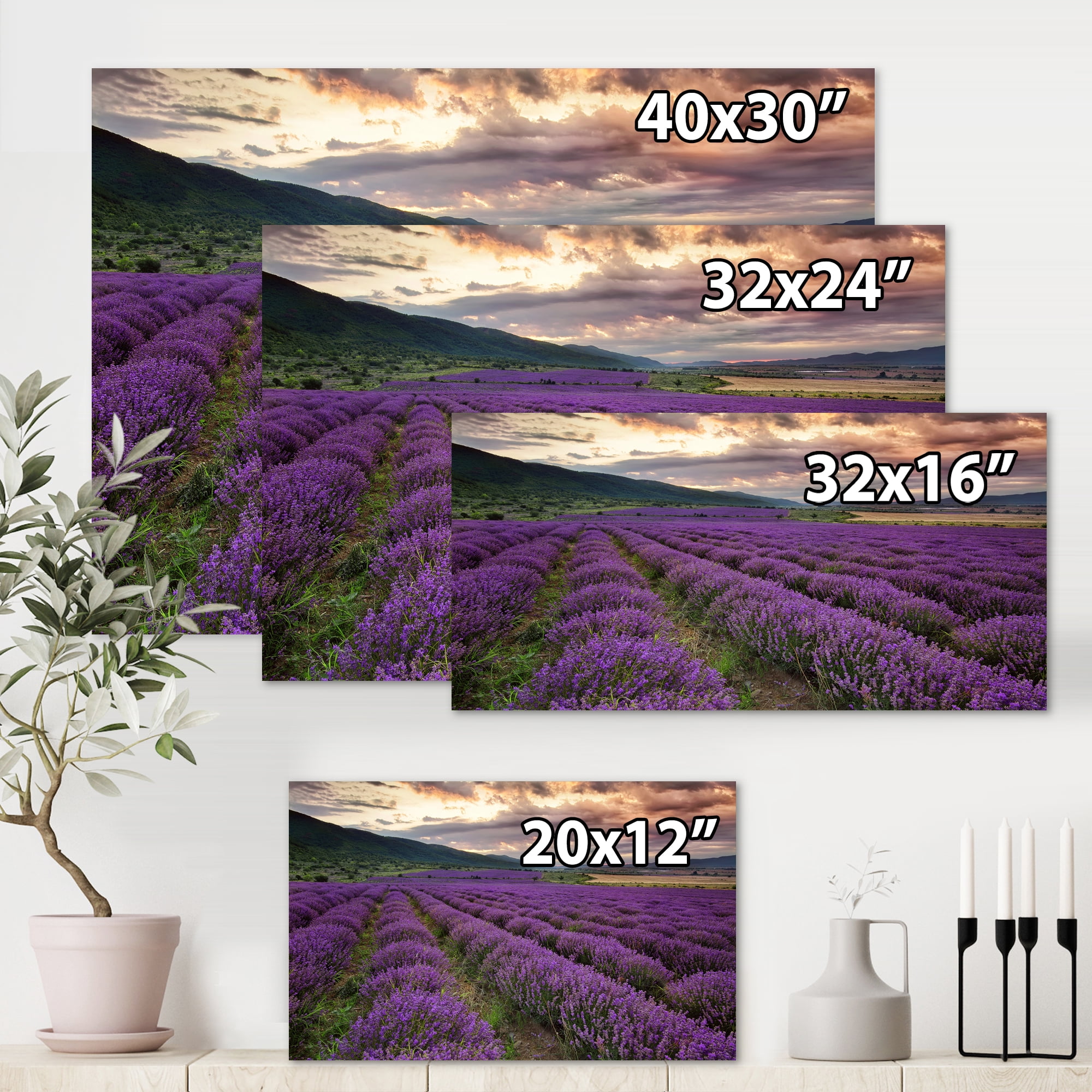 Designart ' Lavender Field At Sunrise I ' Farmhouse Canvas Wall Art Print