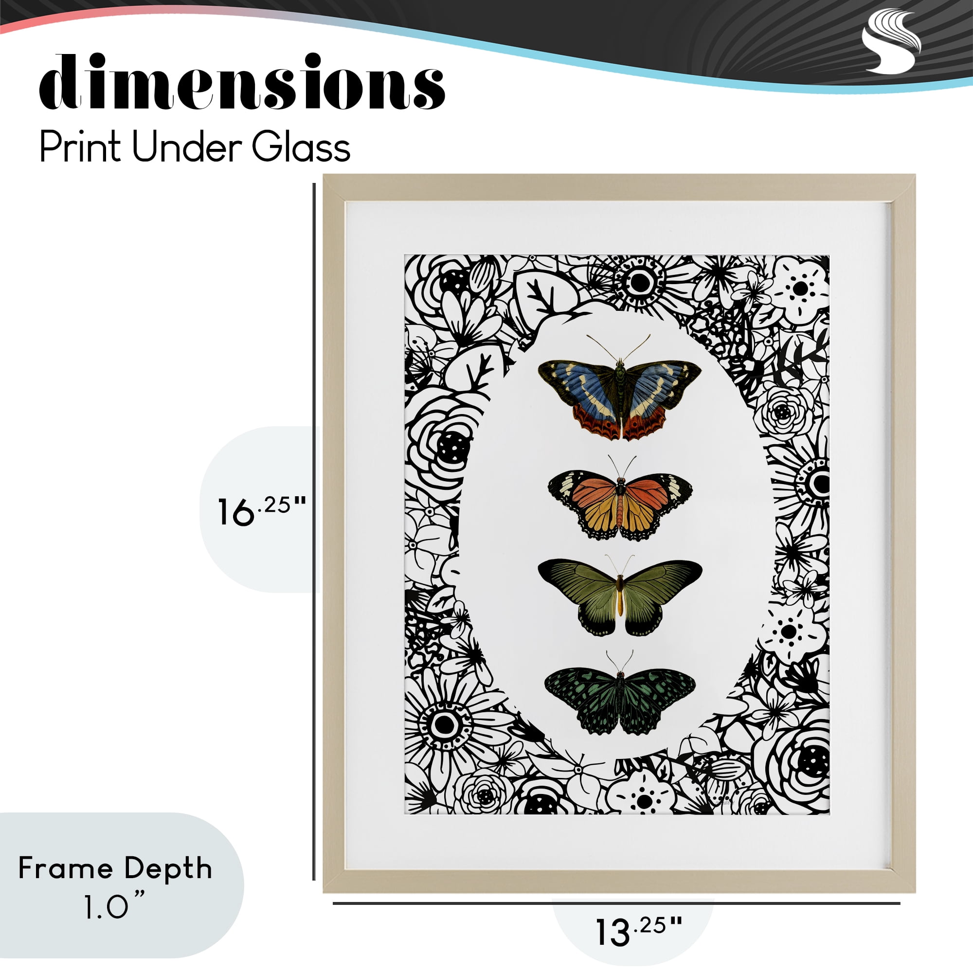 Stupell Industries Floral Border Butterfly Lineup Birch Framed Print Under Glass, design by Dan Meneely