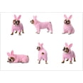 thumbnail image 5 of Glory To Dog Some Bunny Needs a Mimosa Happy Easter Card, 5 of 7