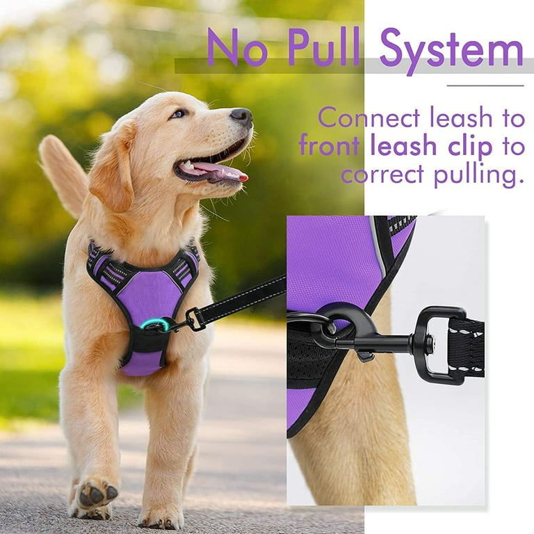 Pet Dog Harness with Rops Small Medium Dog Lead Walking Leashes Adjustable  Pet Chest Strap Fashion Dog Collar Accessories
