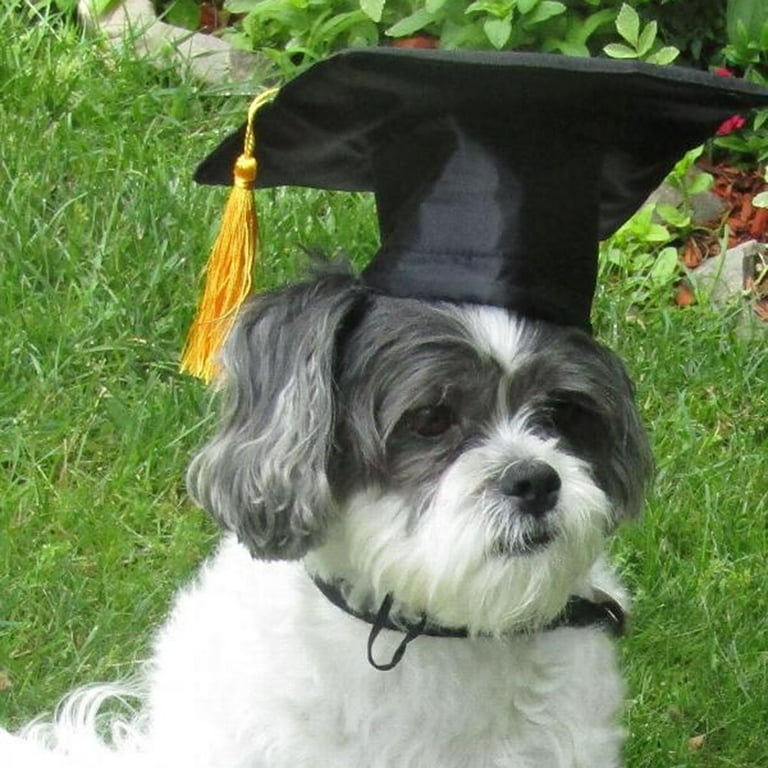 SENSETH Pet Puppy Doctor Hat Customized Dog Graduation Animal