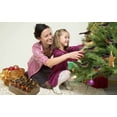 thumbnail image 3 of 12PCS Robin Bird Christmas Tree Decoration Craft Very Cute Artificial Feather Craft, 3 of 8