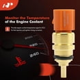 Coolant Temperature Sensor for HYUNDAI ACCENT KIA FORTE 39220-38030 Coolant Temperature Sensor for HYUNDAI ACCENT KIA FORTE 39220-38030