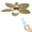 Gold, variant on Uforic 52" Tropical Ceiling Fan with Light and Remote,5 Palm Leaf Blades Energy-efficient ceiling fan