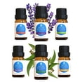 thumbnail image 2 of Pursonic Pure 6 Pack Essential Aroma Oil Blends, 2 of 3