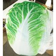 thumbnail image 3 of Manta de lechuga de comida, manta de franela ligera, suave y acogedora, 3 of 4