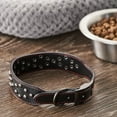 thumbnail image 2 of Vibrant Life Studded Leather Fashion Dog Collar, Black, Large, 2 of 7