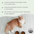 thumbnail image 5 of Dr. Mercola Bark & Whiskers Organic Fermented Superfoods - Nutrient-Rich Meal Topper for Dogs & Cats - With Antioxidants - Cheddar Flavor - USDA Organic - 60 Scoops, 5 of 7