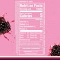 thumbnail image 3 of Sparkling Ice® Naturally Flavored Sparkling Water, Black Raspberry 17 fl oz Plastic Bottle, (Pack of 2), 3 of 7