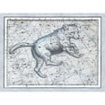 thumbnail image 3 of Jamieson, Alexander 14x12 Black Modern Framed Museum Art Print Titled - Maps of the Heavens: Ursa Major - The Great Bear, 3 of 5