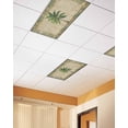 thumbnail image 2 of Fluorescent Light Covers for Ceiling Lights 1 Piece, Summer Palm Tree Magnetic Classroom Light Covers 4x2 Feet, Vintage Green Brown Tropical Botanical Fluorescent Ceiling Filters for Office, 2 of 7