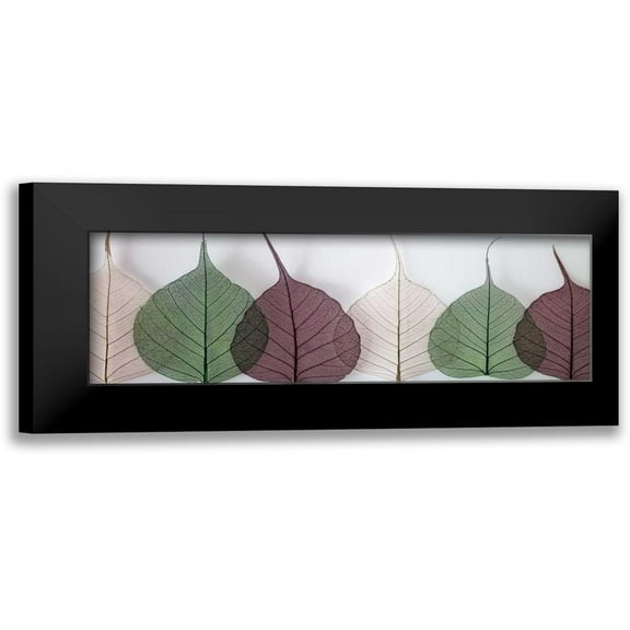 Frank, Assaf 14x7 Black Modern Framed Museum Art Print Titled - Leafy Address