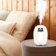 thumbnail image 3 of Fiudx Artículos en oferta con ofertas flash Humidificador mini para coche con USB, nuevo, 2024, para el hogar, la oficina, el escritorio, bonito para mascotas, 3 of 3