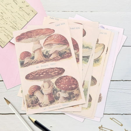 400Pcs Scrapbooking Supplies Journaling Vintage Scrapbook Stickers Adhesive Scrapbook Washi Stickers for Album Art Craft