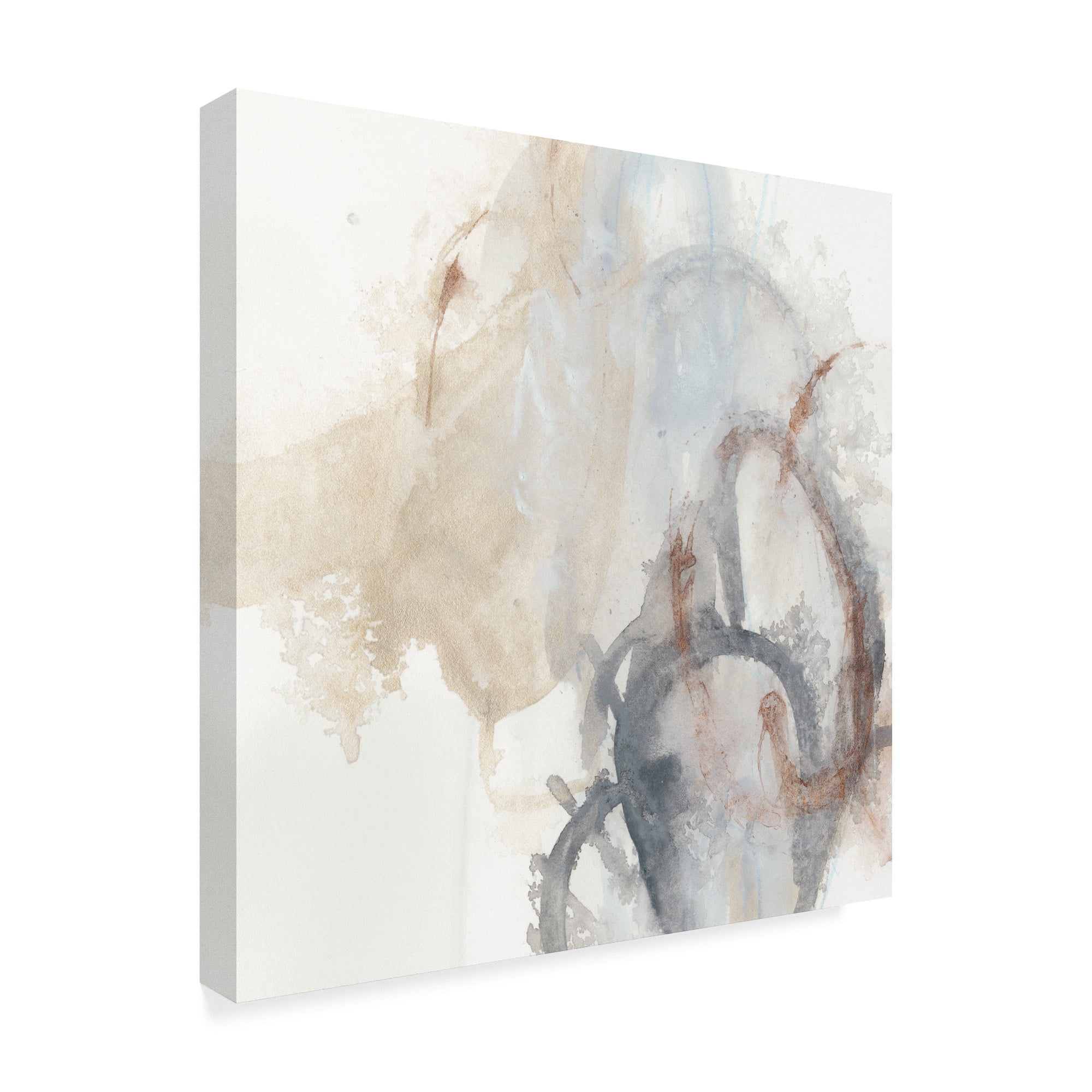 Trademark Fine Art 'Supposition I' Canvas Art by June Erica Vess