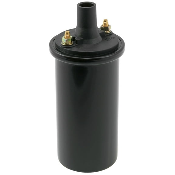 WVE 5C1086 Ignition Coil