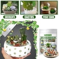 thumbnail image 3 of Decorative Rocks Stones Pebbles Mixed Color Accents Vases Filler Rocks for Plants Fish Tank New, 3 of 8