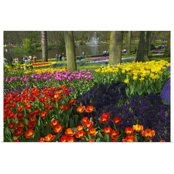 Great BIG Canvas | Rolled Keren Su Poster Print entitled Tulips in Keukenhof Gardens, Amsterdam, Netherlands