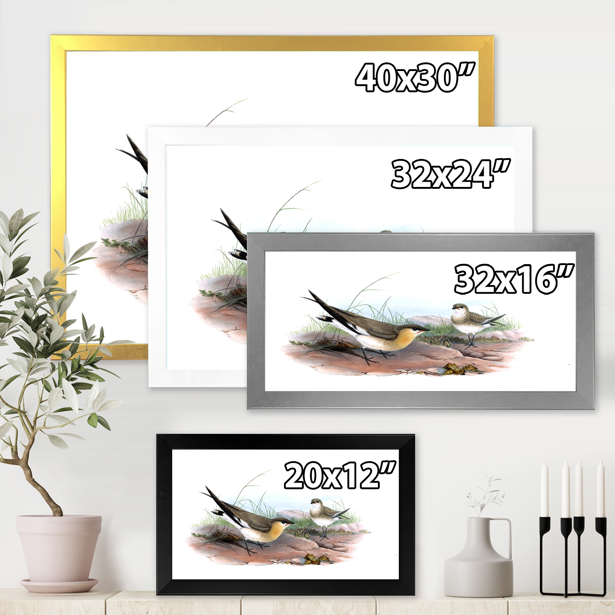 Designart 'Ancient Bird Illustration II' Farmhouse Framed Art Print