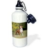 3dRose American Pit Bull Terrier, Sports Water Bottle, 21oz