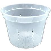 8" Clear Slotted Orchid Pot (3 Pack) by rePotme